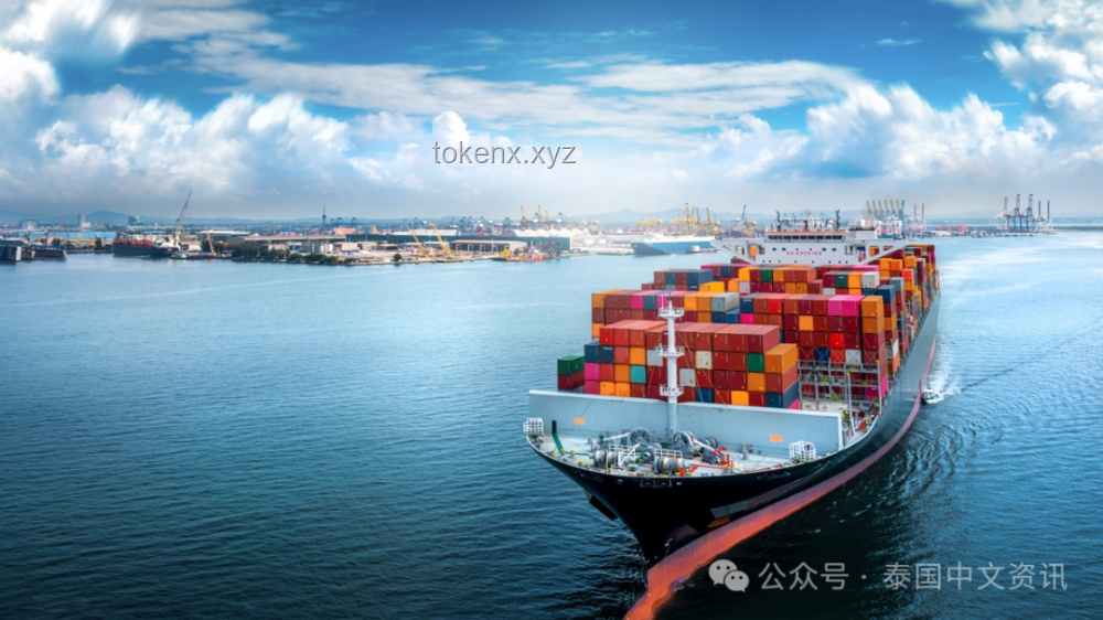 “区区世界，也敢挑战我吗”——全球海运及数字化货代行业的深度洞察